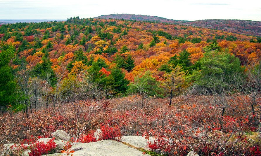 Blue Hills Reservation, Massachusetts, USA